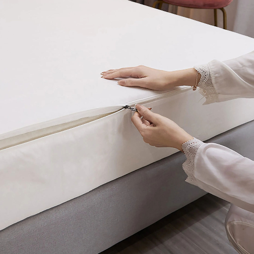 Encase mattress for one year to kill bed bugs
